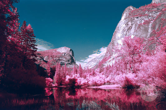 Yosemite in Film - California's Scenic Legacy