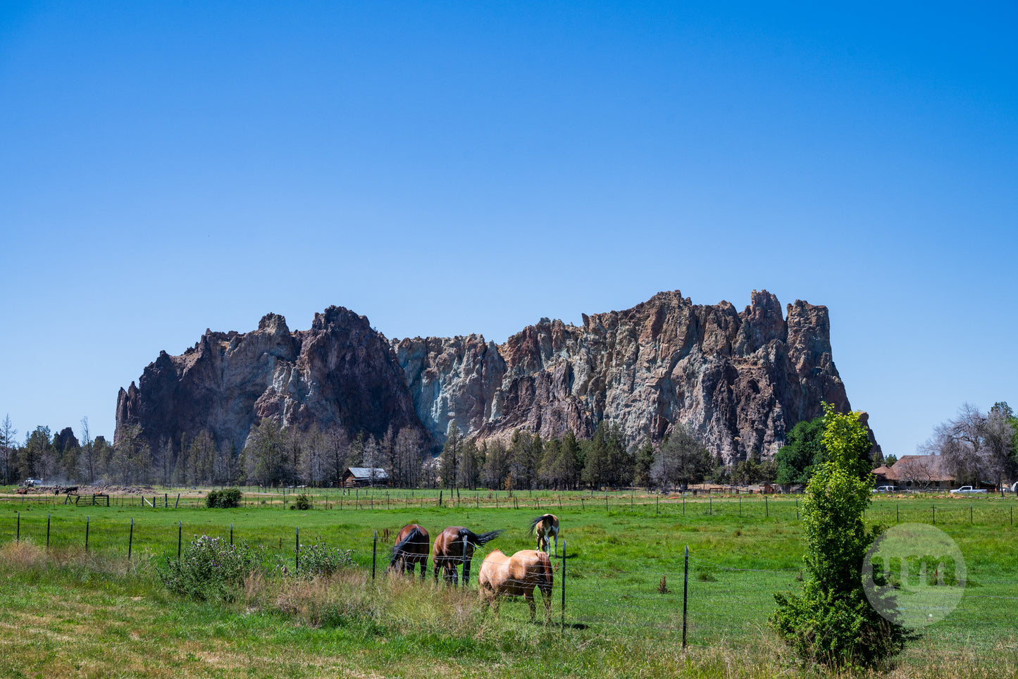 Horses grazing in a field with large rock formations in the background