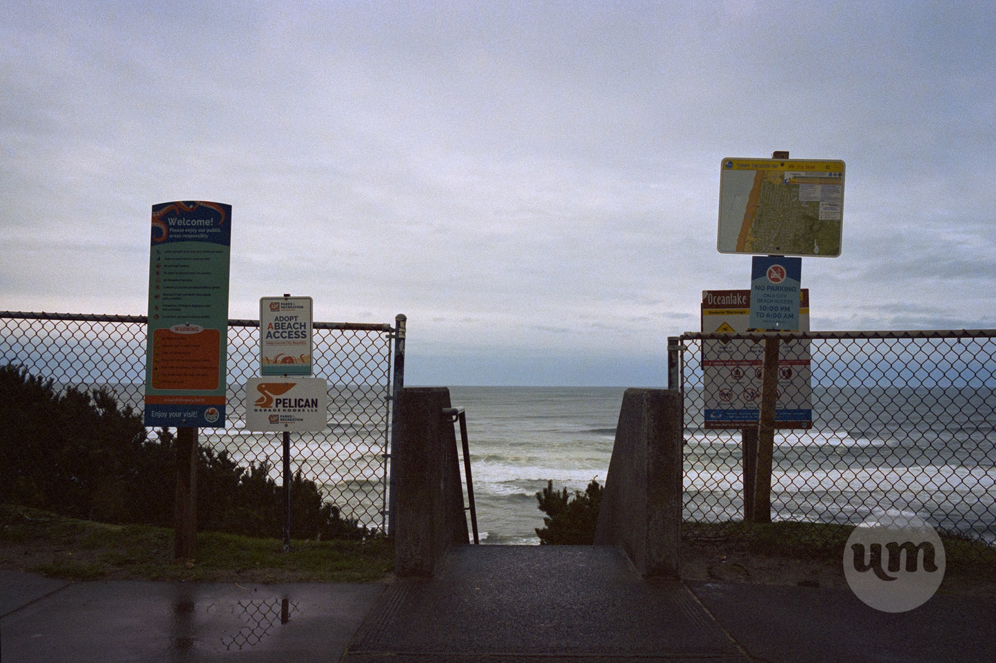 Westward Beheld