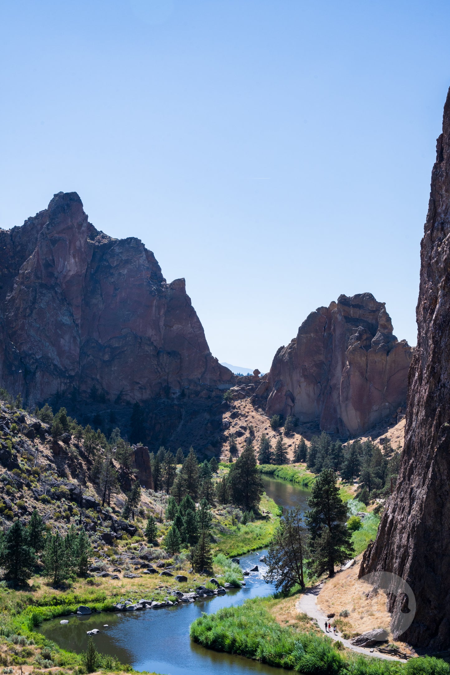 Scenic view of a river flowing through a canyon with rocky cliffs and trees.