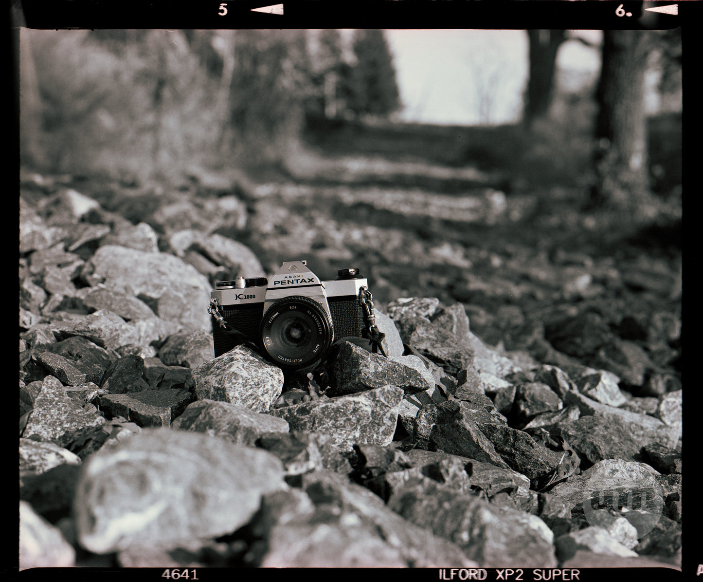 Lens on Lens