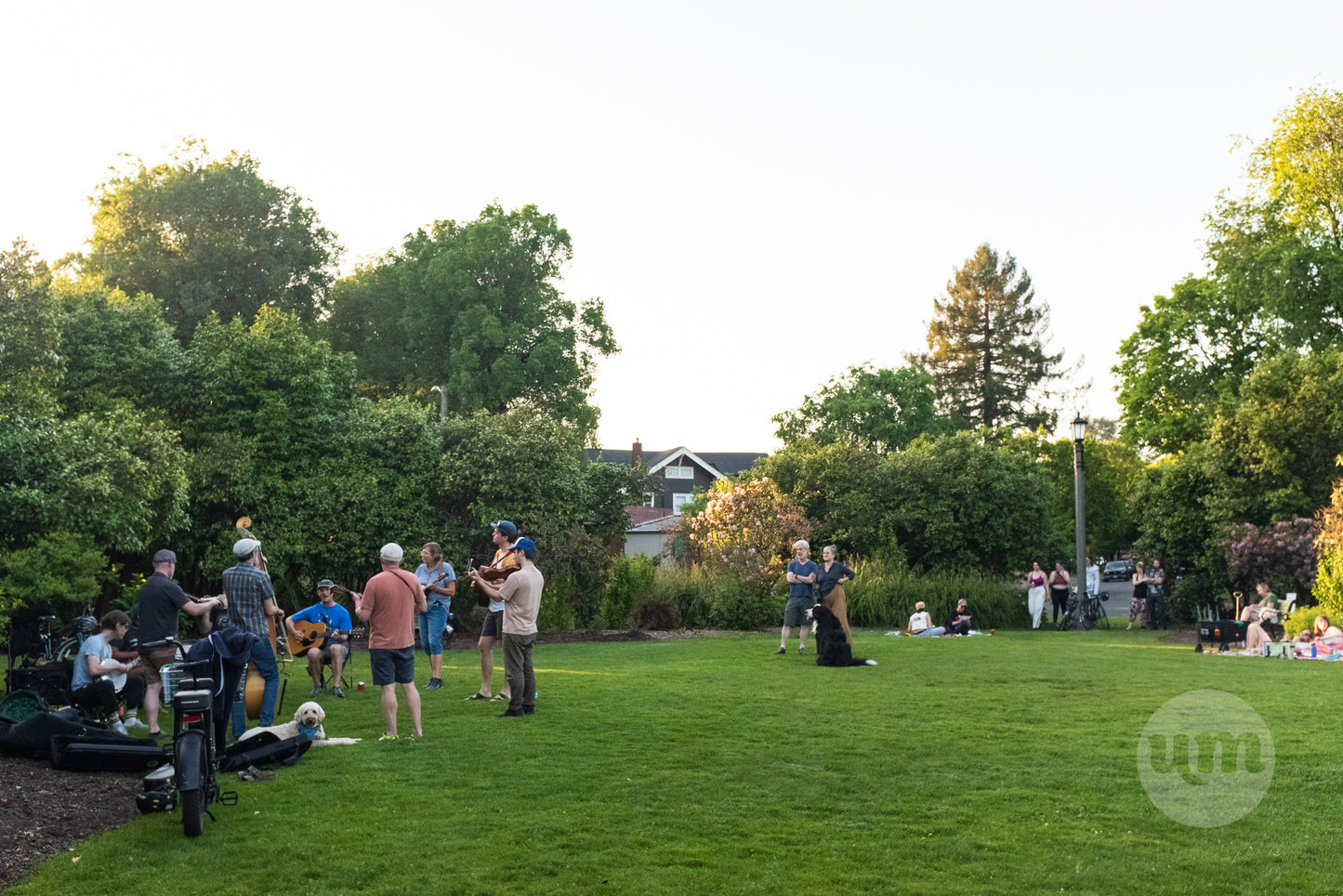 Neighborhood Concert