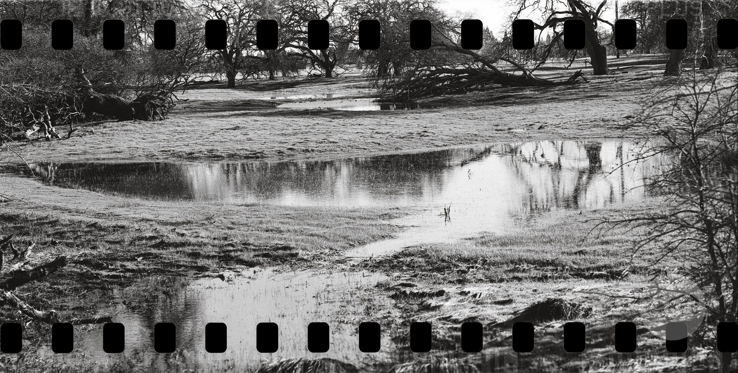 Full Exposure
