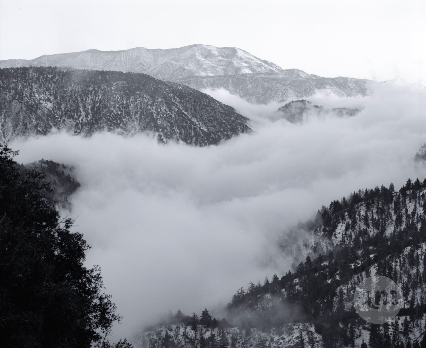 Mist
