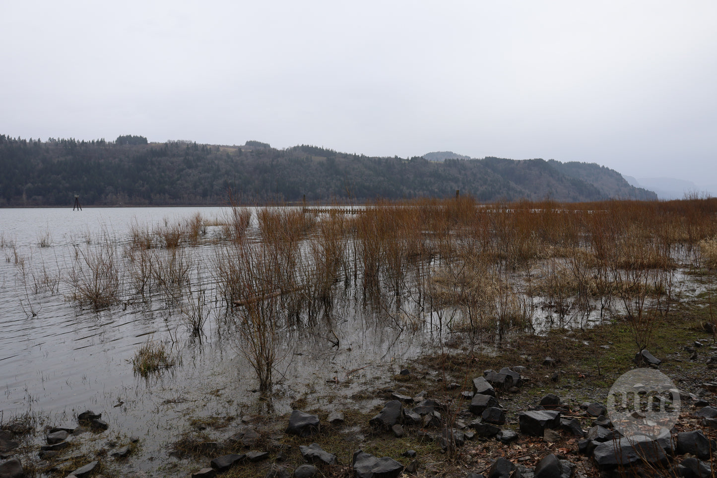 The Rocky Banks of the River Wide