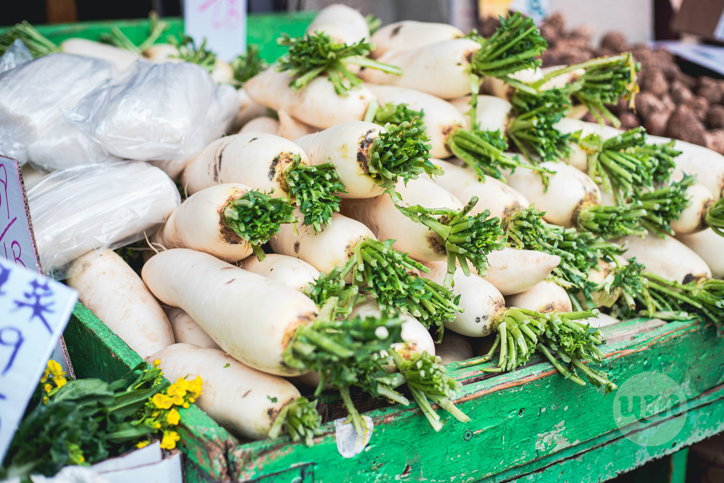 Root Vegetables