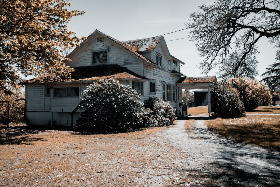 Focus: Human Ingenuity in the Face of Great Change