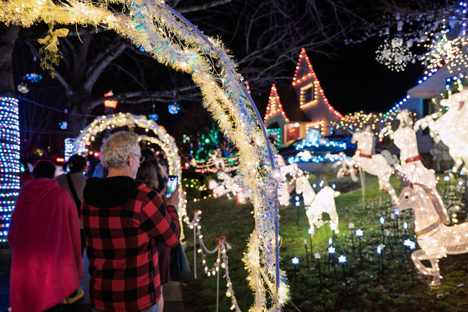 Another Year on Peacock Lane (Portland Oregon Christmas Lights)
