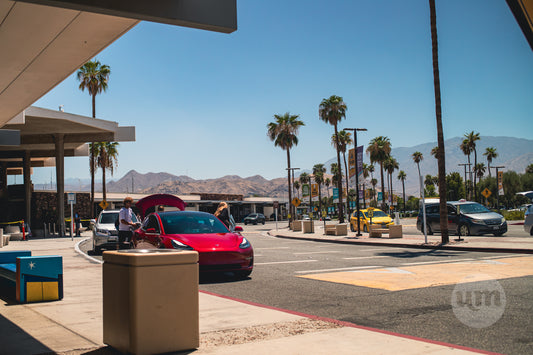 Palm Springs International