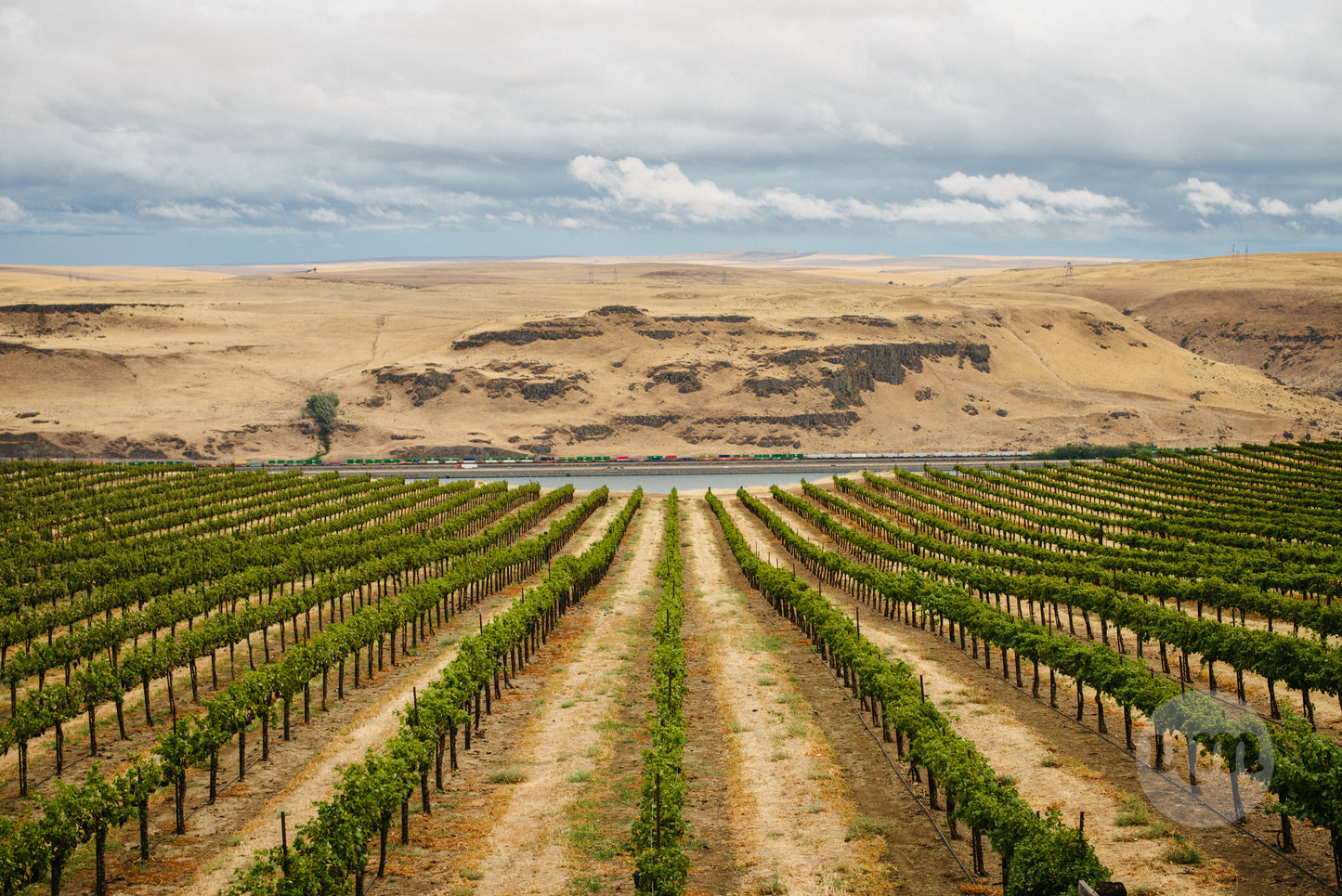 Maryhill Winery