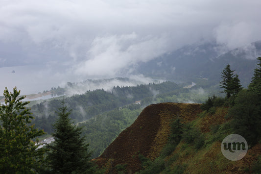 Mists of the Gorge
