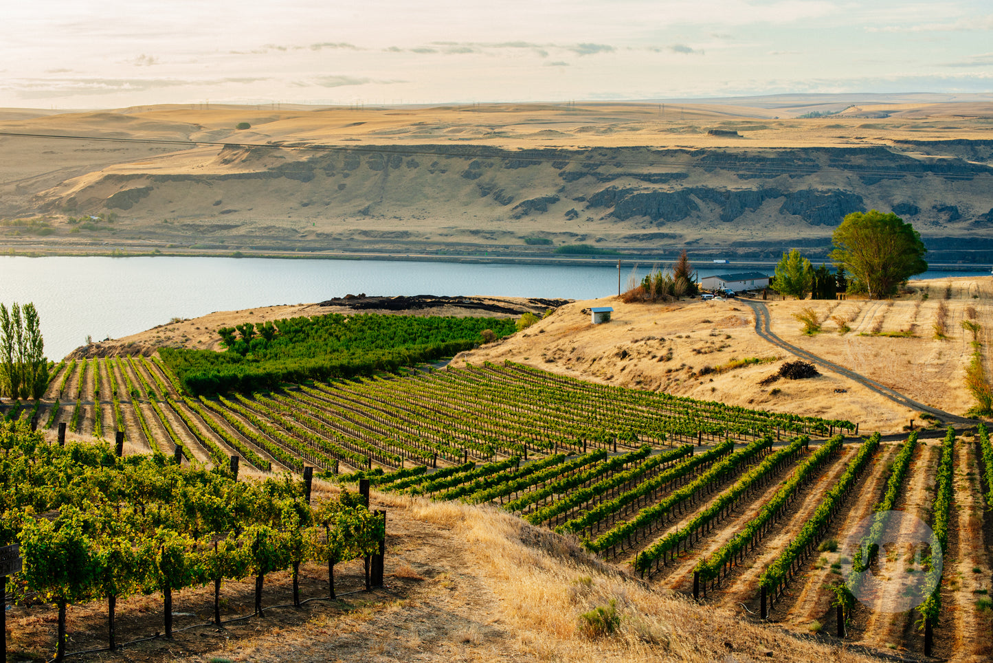 Maryhill Winery II