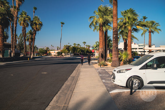 Desert Stroll