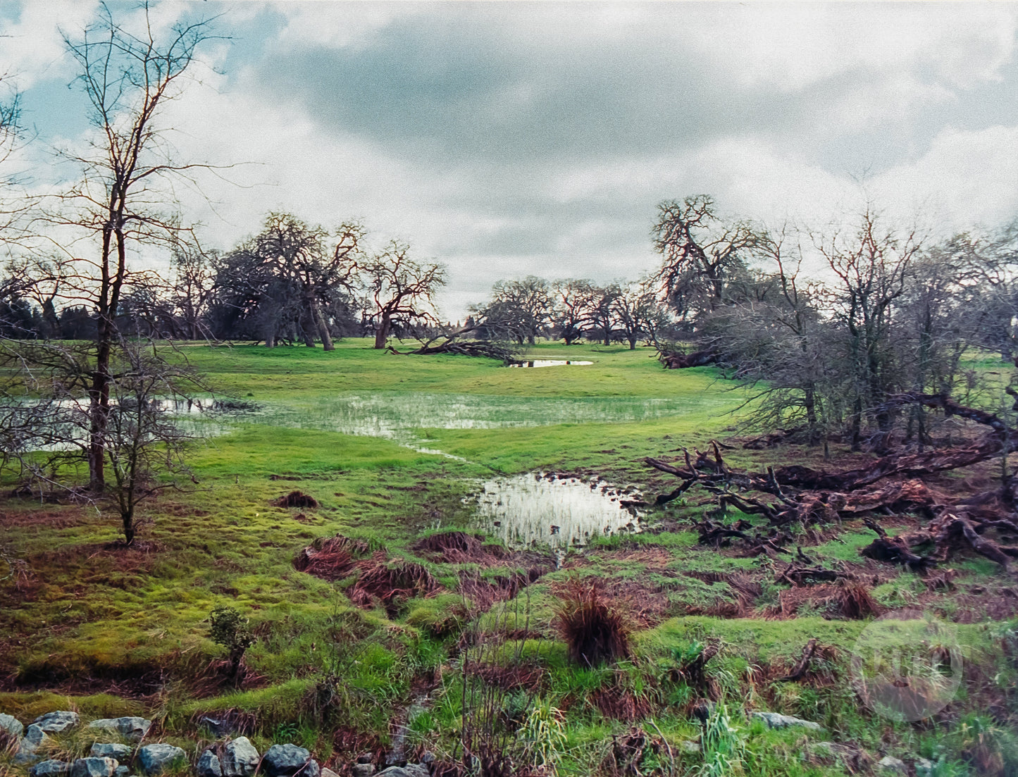 Saturation