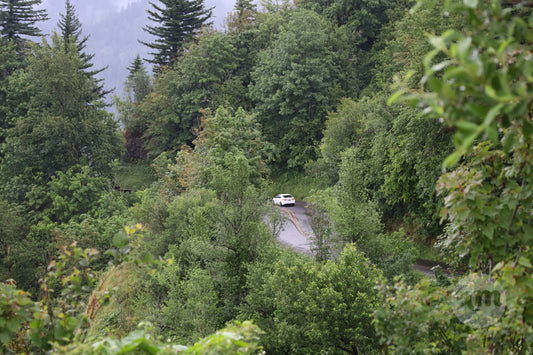 Driving in Trees
