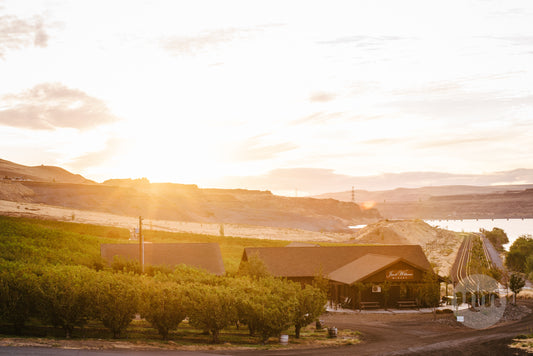 Jacob Williams Winery