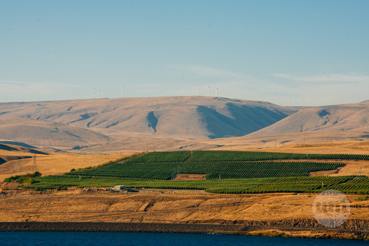 Columbia River Gorge III