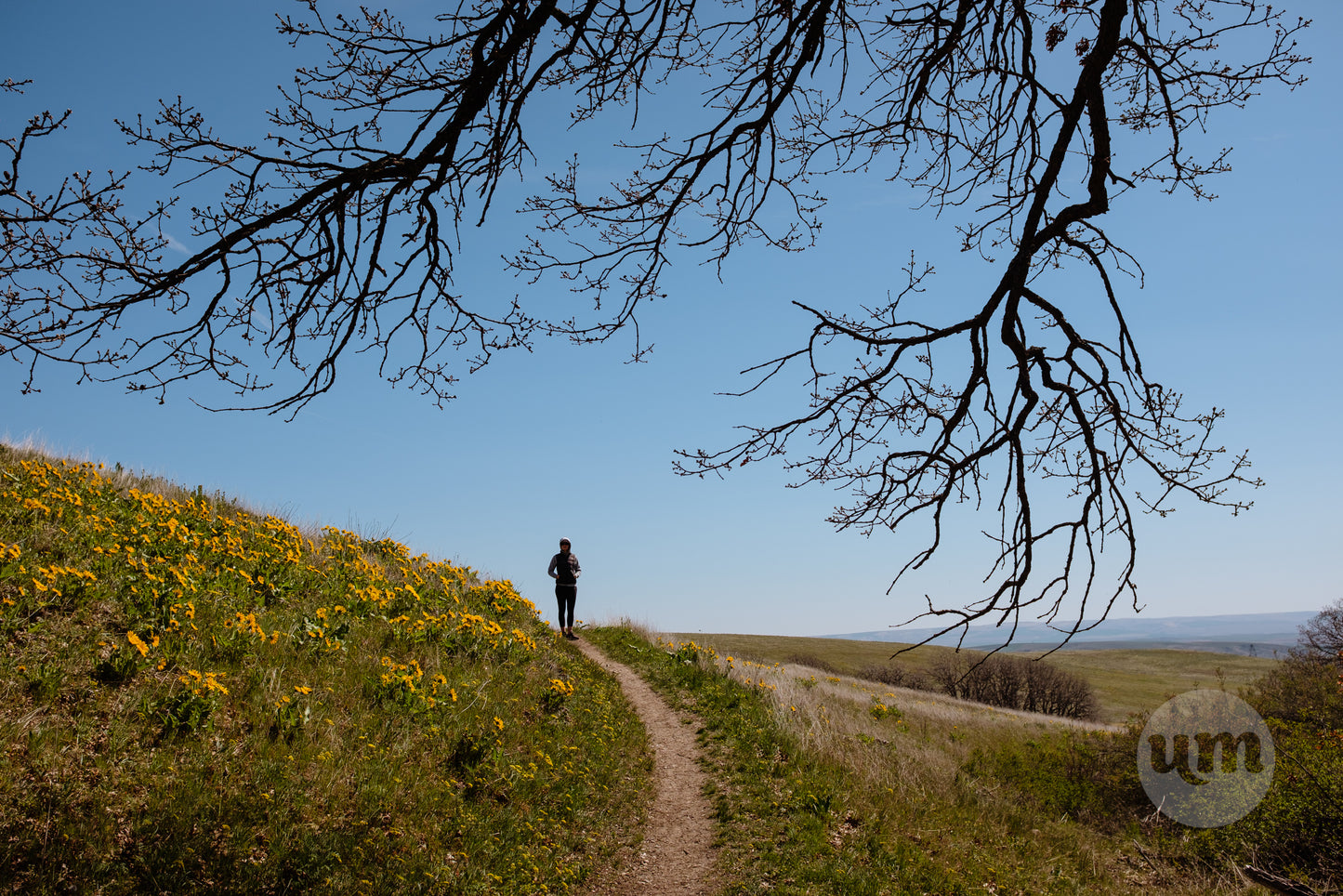Columbia Hills