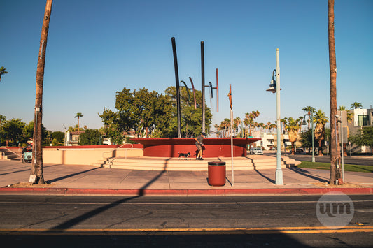 Dog Walk by the Plaza II
