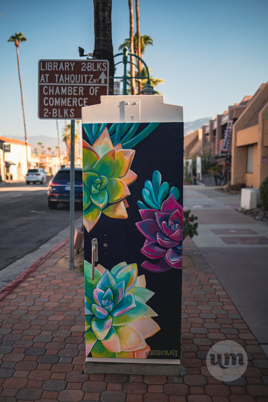 Desert Blooms