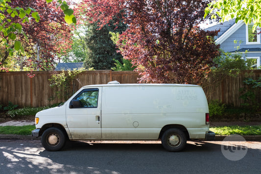 Back in the Van