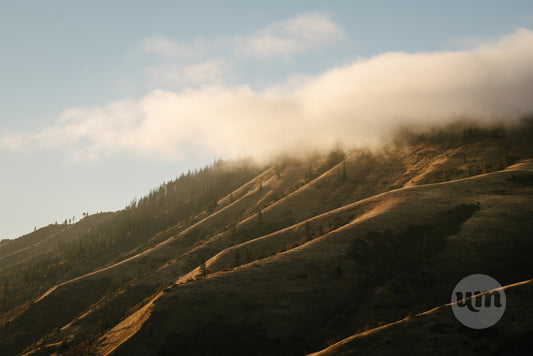 Columbia River Gorge IV