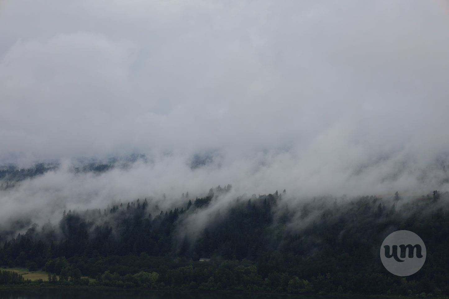 Clouds Kissing Pine Trees