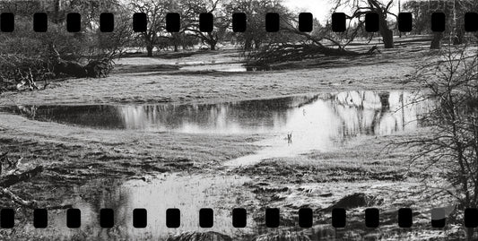 Full Exposure