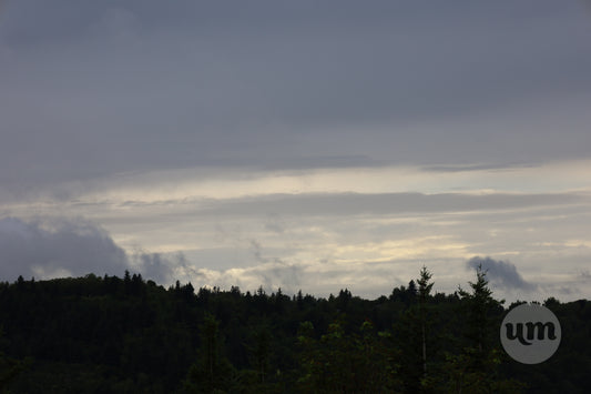 Oregon Green, Blue, and Gray
