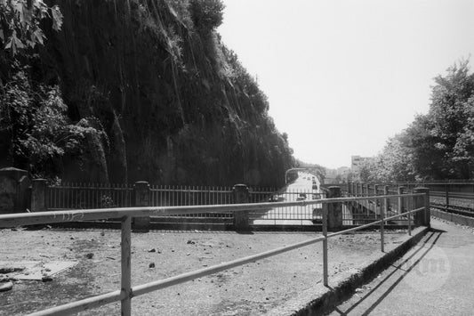 The Path Taken