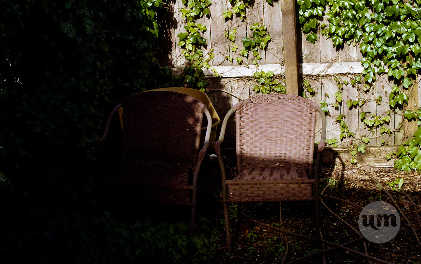 Escape to the Cool of the Shade