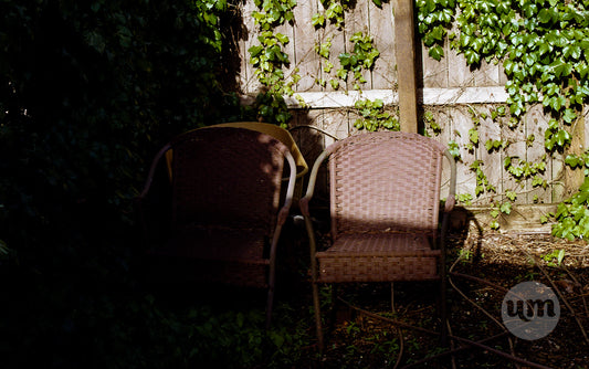 Escape to the Cool of the Shade