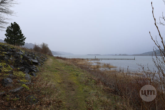 Old Dock on the Columbia