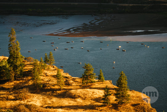 Columbia River II