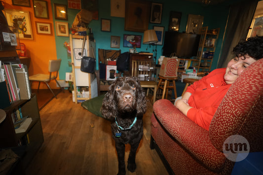 Young Dog in the Evening