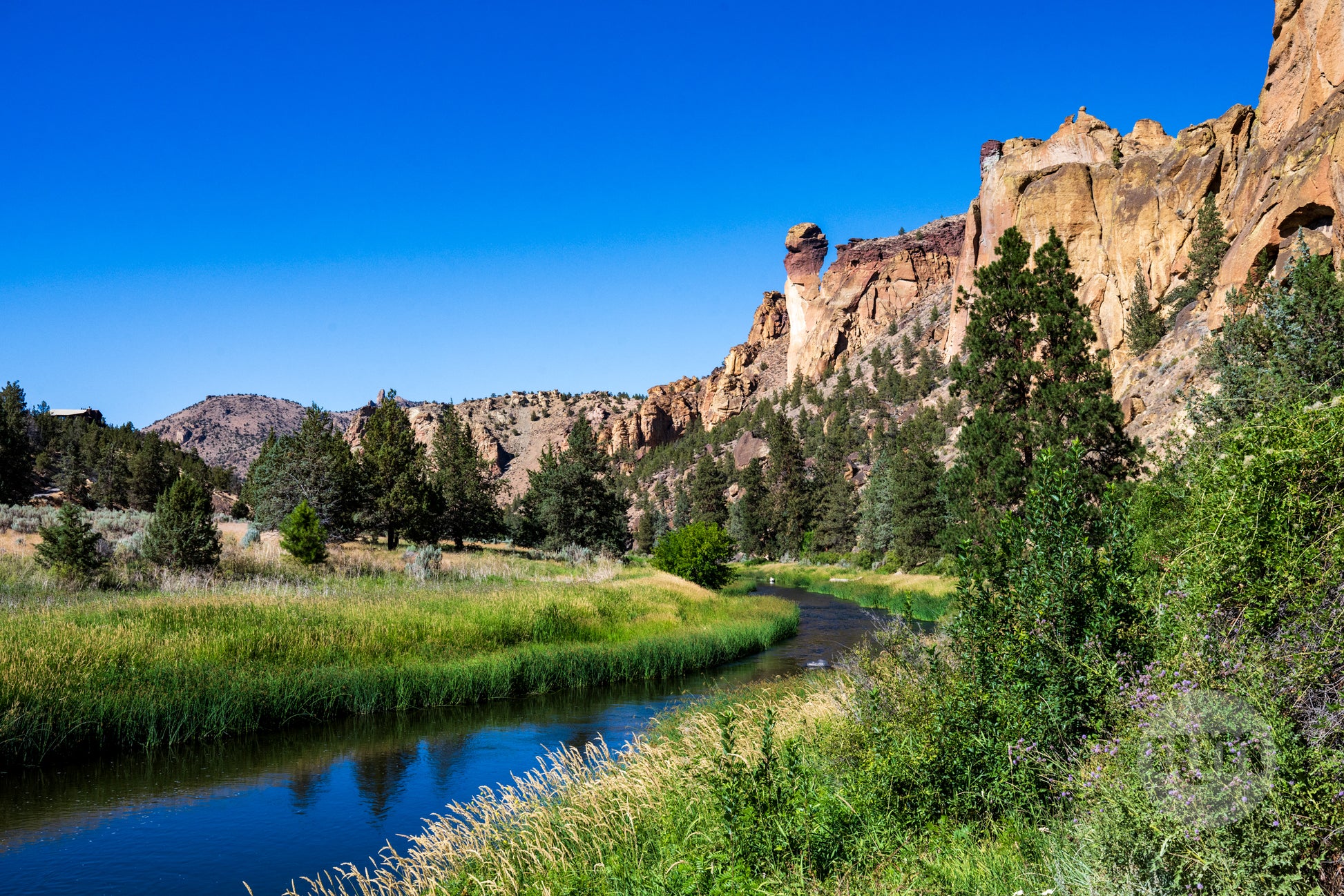 Scenic view of a river flowing through a valley with rocky cliffs and trees under a clear blue sky.