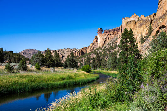 Scenic view of a river flowing through a valley with rocky cliffs and trees under a clear blue sky.
