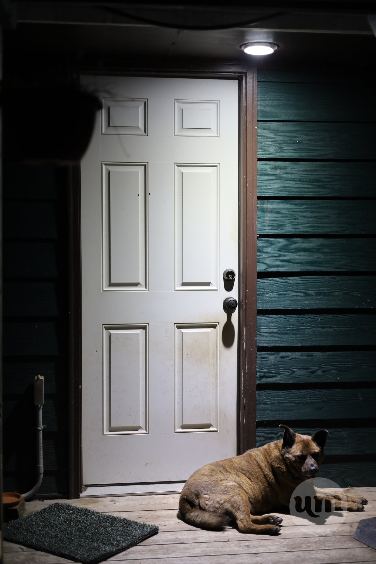 The Night Watchman