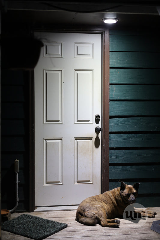 The Night Watchman