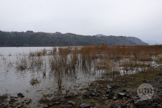 The Rocky Banks of the River Wide