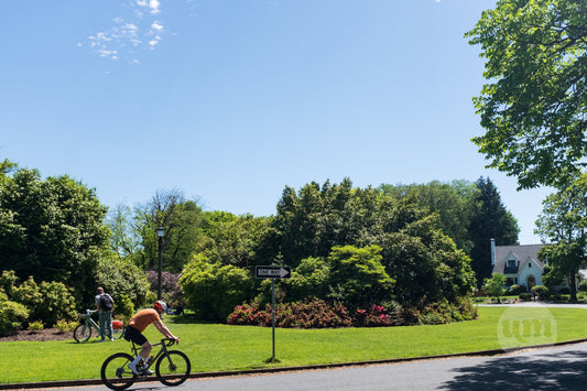 Summer Bike Ride