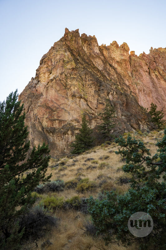 Rugged mountain landscape with trees and shrubs