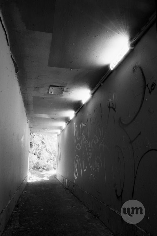 Harsh Guiding Light
