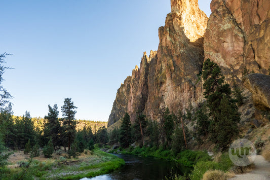 Scenic view of a river flowing through a canyon with rocky cliffs and trees.