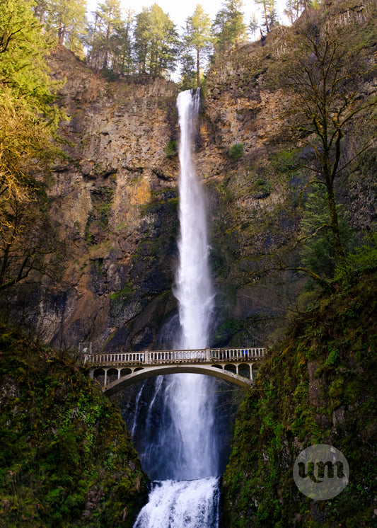 Multnomah Falls