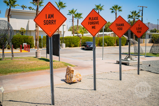 Melissa Morgan Sculpture Garden Palm Desert IV