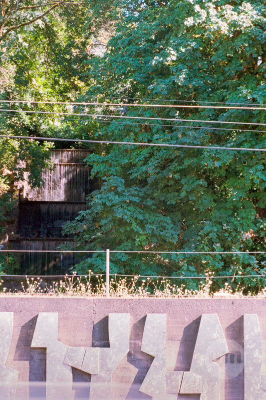 Public Art In Public Spaces